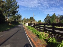 2CBD59E0-F21A-4DFF-93F8-BFED617EBEE7