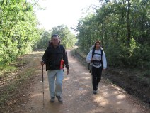 IMG_0435_entre_robles_Montes_de_Oca[1]